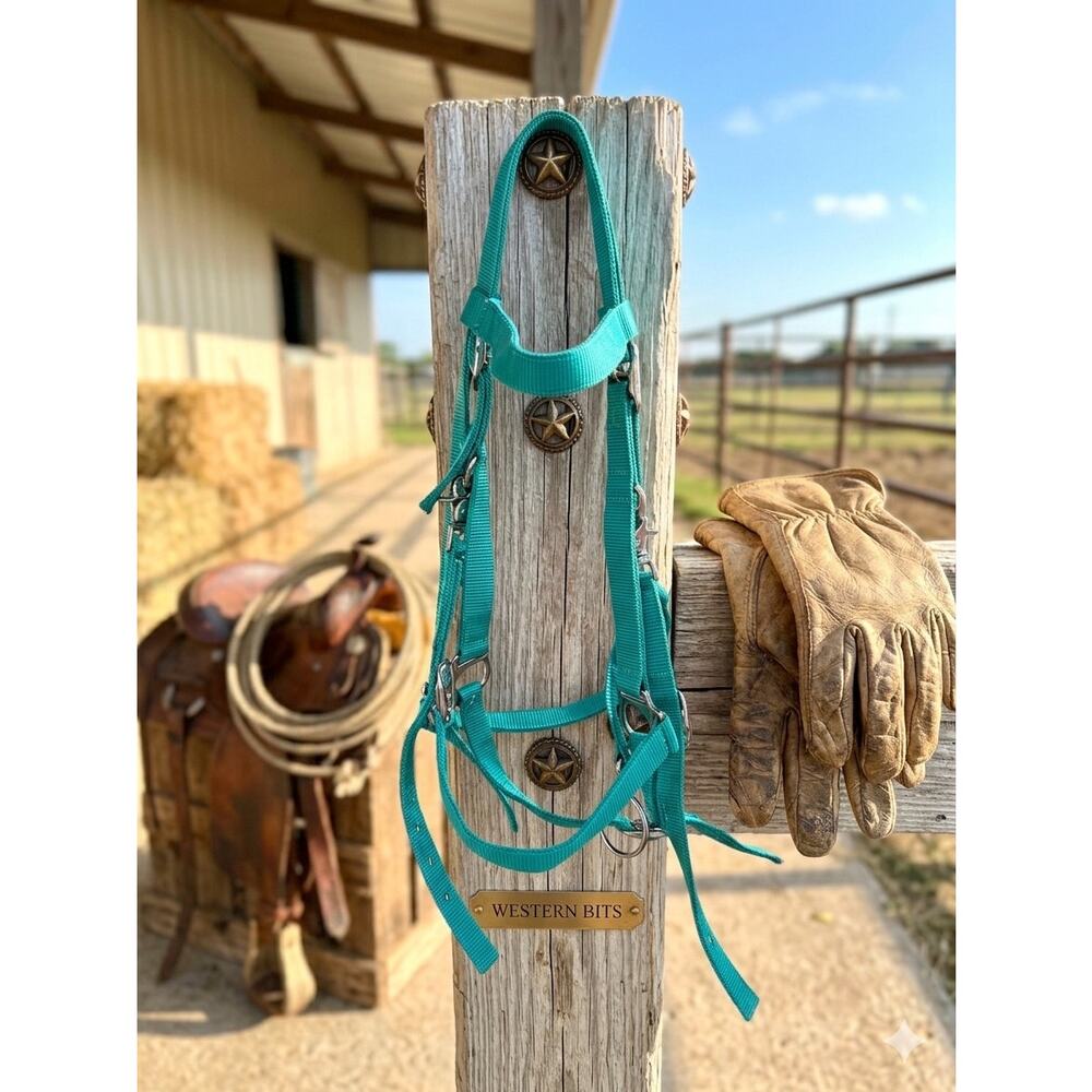 Vibrant Turquoise Nylon Halter / Bridle Combination - Horse Size